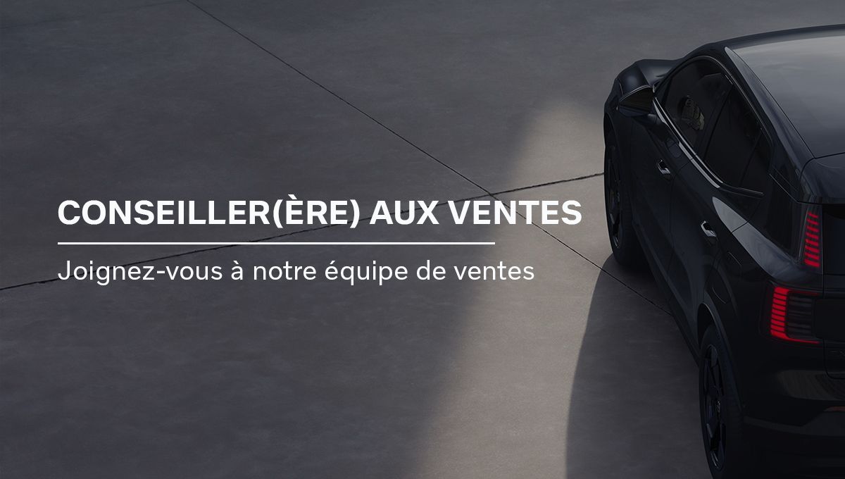 Sales Consultant