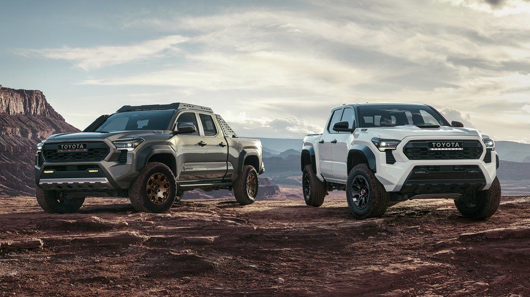 Two Toyota Tacoma 2024s parked on the dirt at the top of a hill.