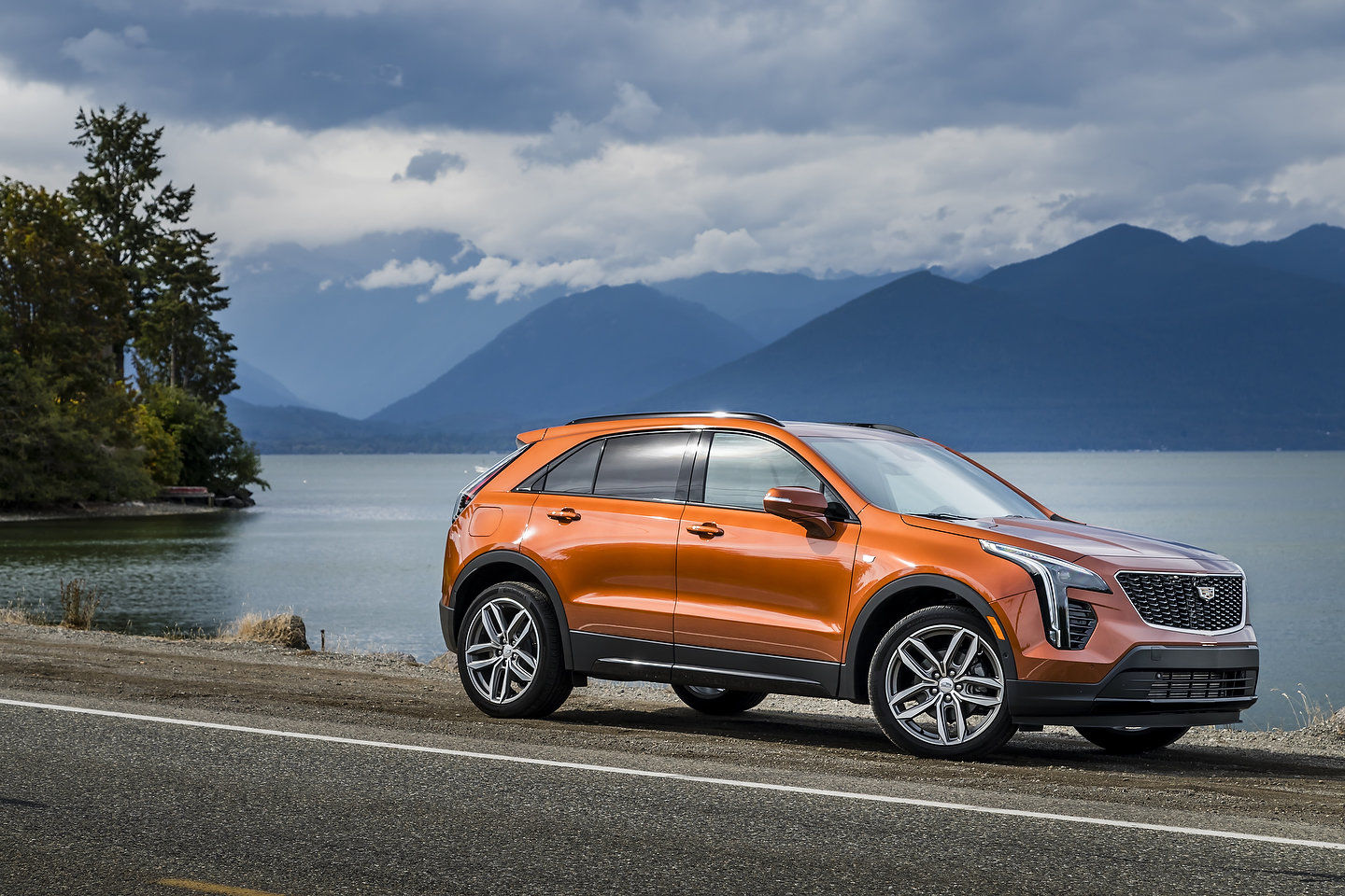 Cadillac XT4 2020 vs Audi Q3 2020