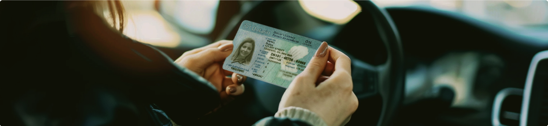 A female driver holds their Ontario driver's license while sitting in the front seat of a car