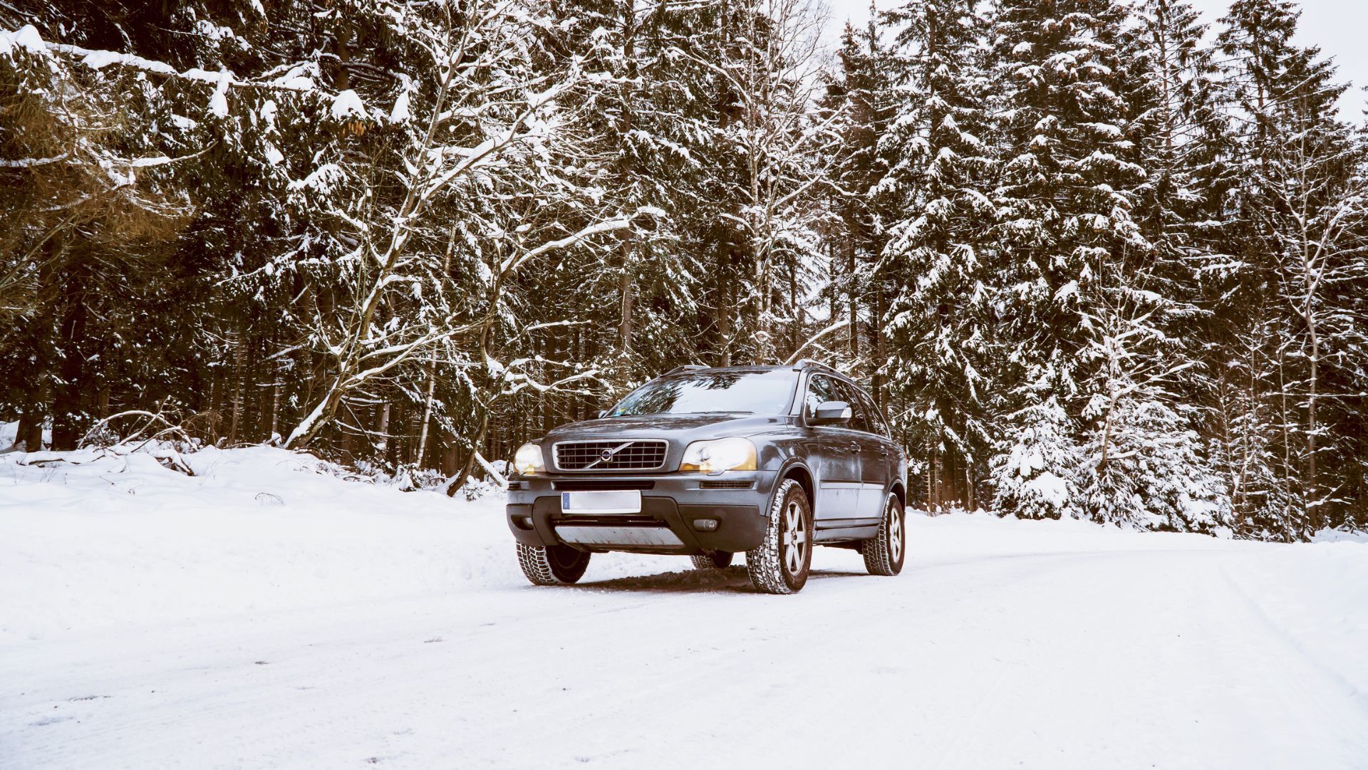 Best Pre-Owned Vehicles to Take on Winter