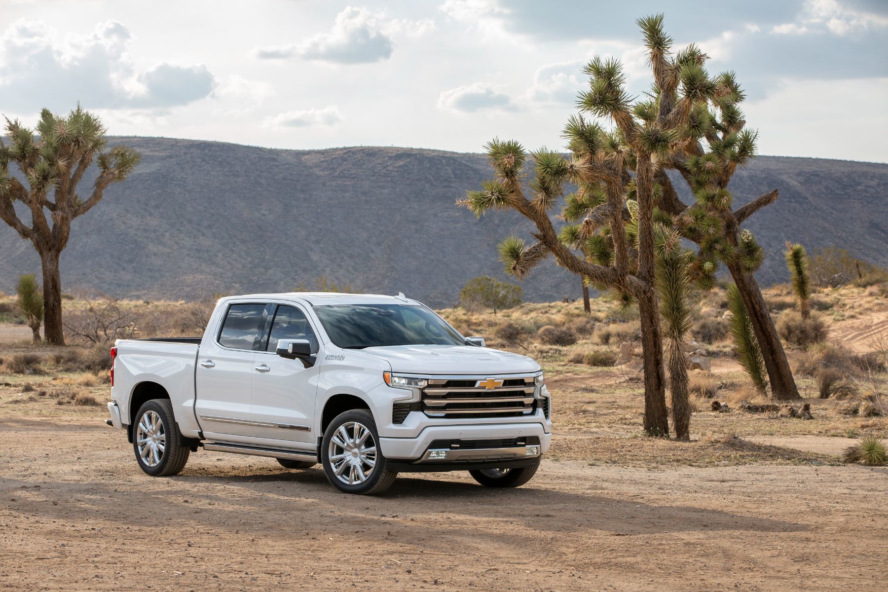 2026 Chevrolet Silverado High Country - exterior view of a white 2026 Chevrolet Silverado High Country parked in a desert setting - Humberview Chevrolet, Buick, GMC - New car dealership in Toronto, Ontario