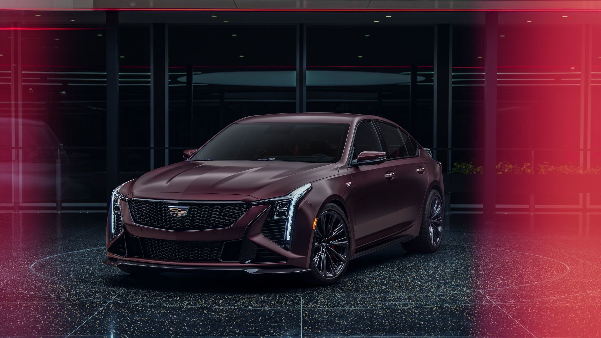2026 Cadillac CT5-V Blackwing - Front view of a burgundy 2026 Cadillac CT5-V Blackwing Curated by Cadillac parked inside a modern showroom - Applewood Cadillac - Cadillac new car dealership in Mississauga, Ontario