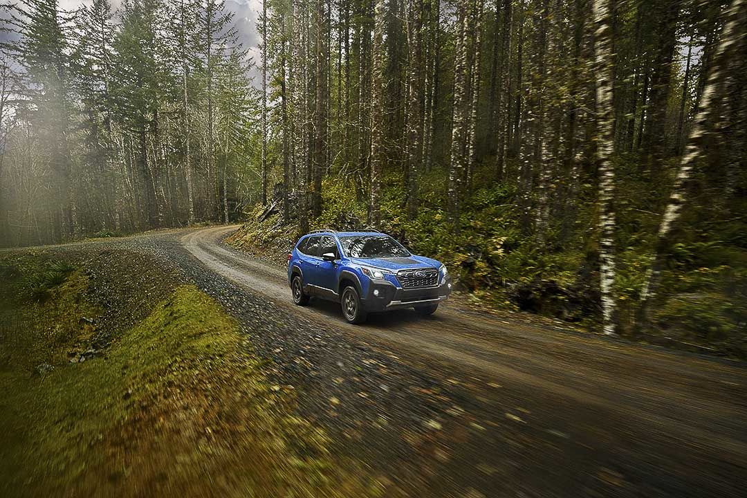 Le Subaru Forester Wilderness 2022 roulant sur une route en nature