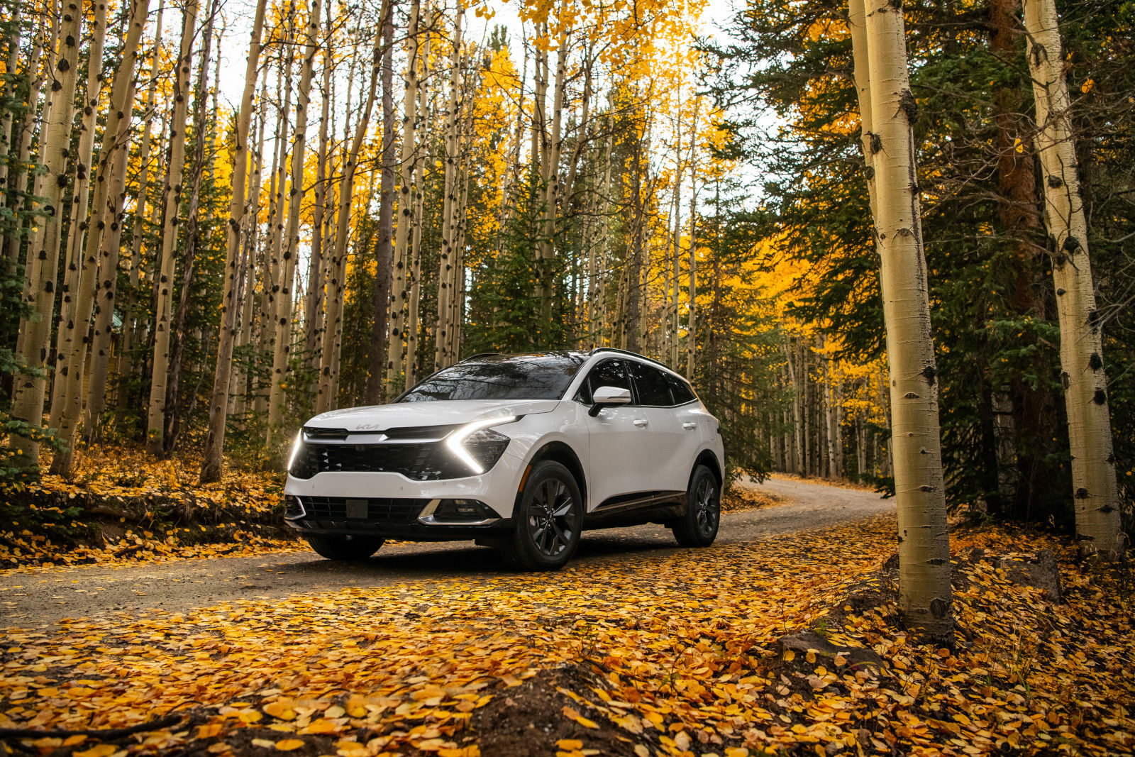 What Makes the New 2023 Kia Sportage Special?