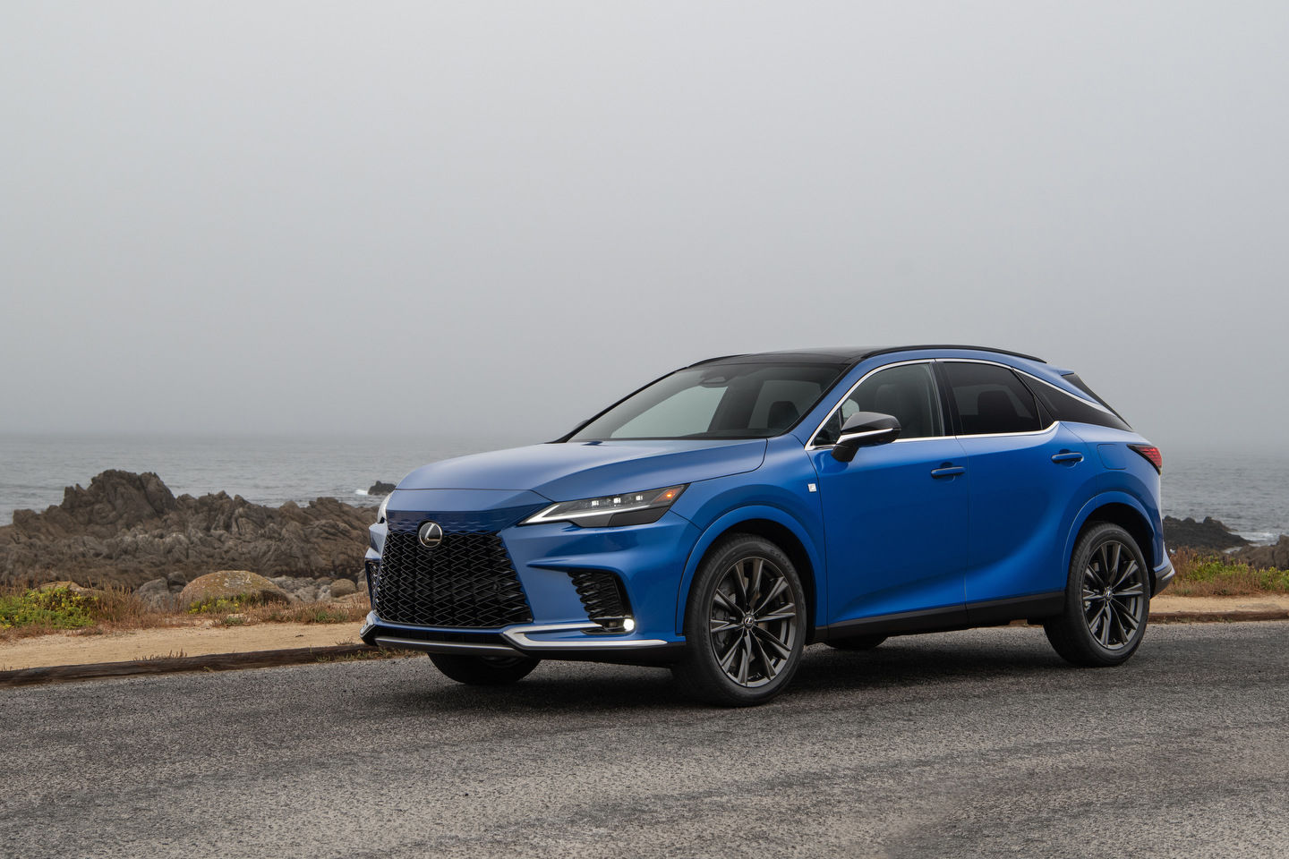 Lexus RX: A Comprehensive Look at What's New for 2024