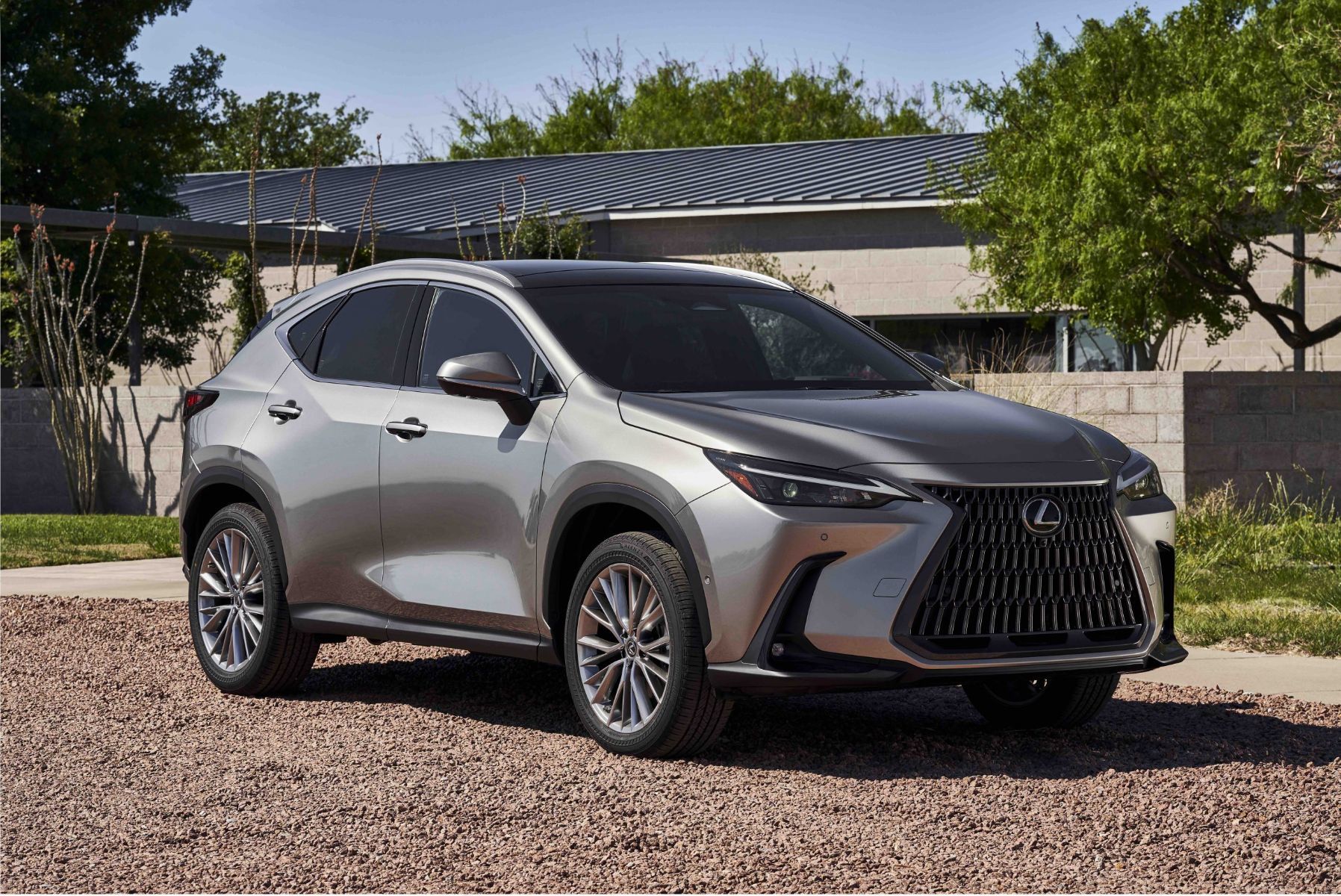 Comparing the 2025 Lexus NX Powertrains: Which One is Right for You?