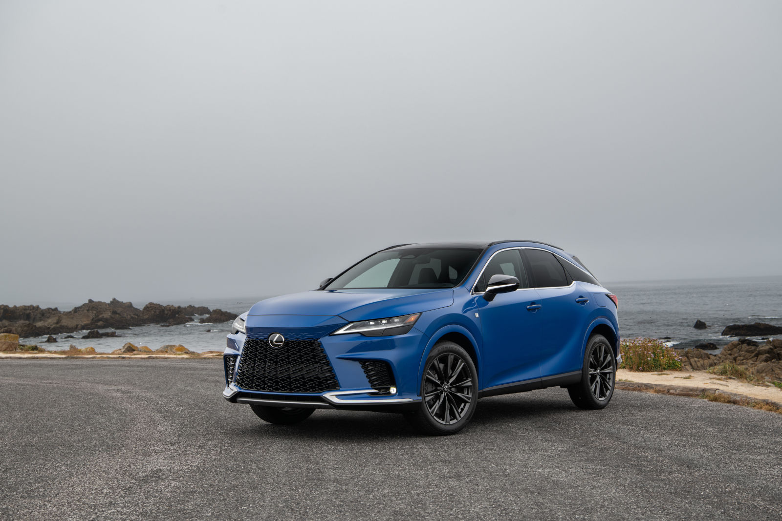 2025 Lexus RX Range: Four Powertrains, Sixteen Configurations