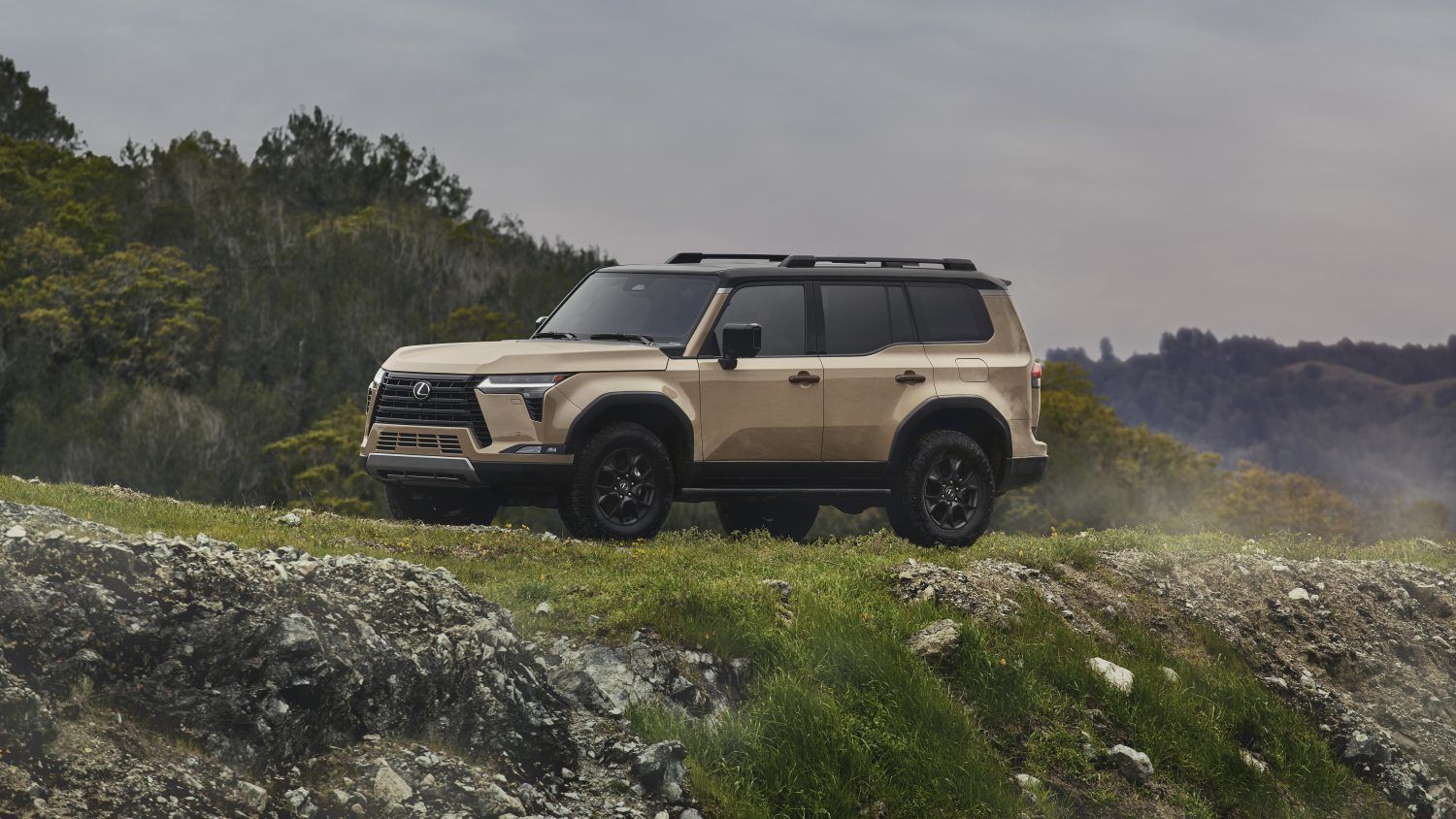 Which 2025 Lexus SUVs Can Tow Over 1,500 Pounds