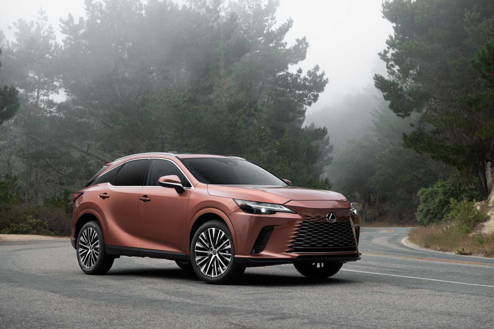 Summer Road Trip Essentials: Why the 2025 Lexus RX 350h Is Built for Long Drives