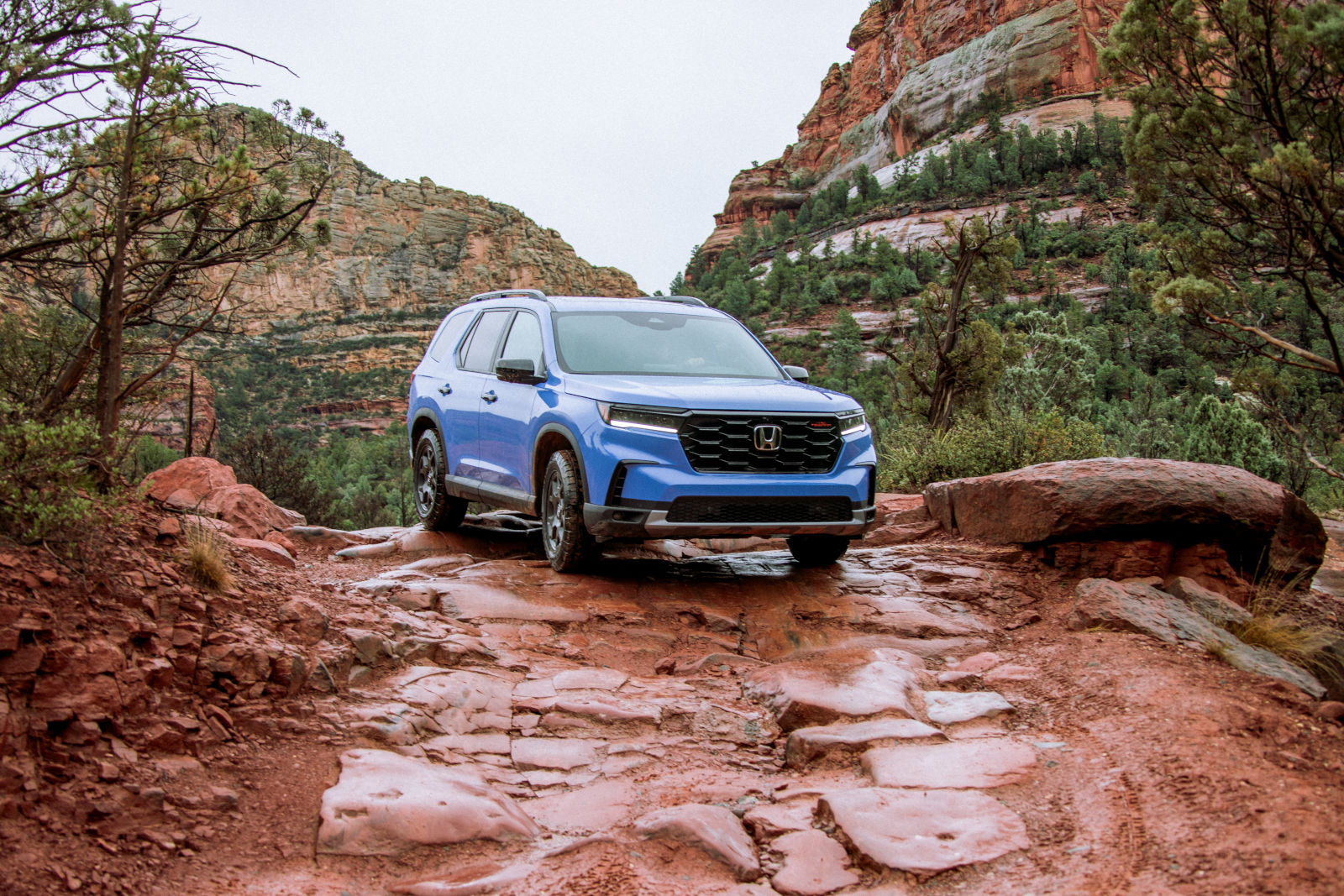 The 2025 Honda Pilot is Where Family Comfort Meets Adventure-Ready Capability