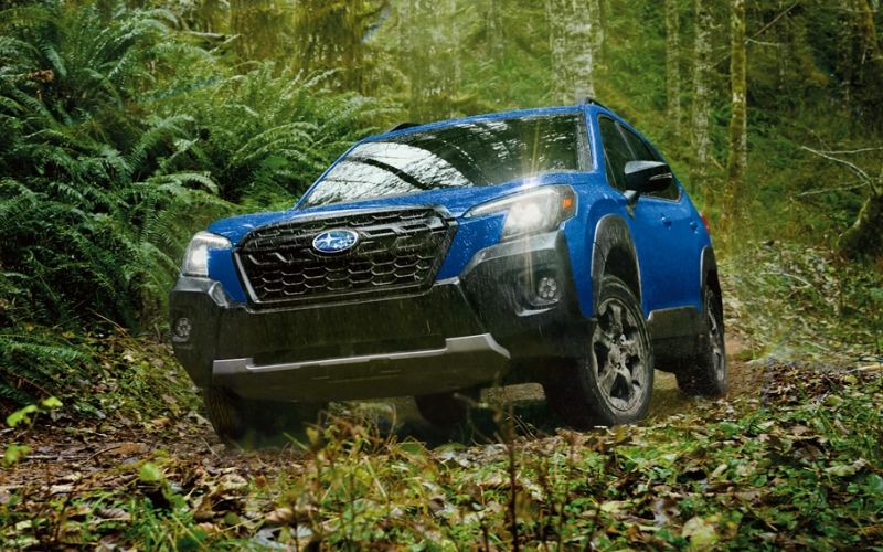 Marino's Fine Cars in Toronto | 2023 Subaru Forester Wilderness