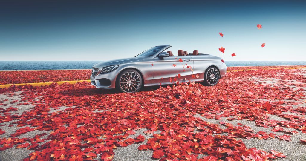 Why Fall is the best season to cruise with the top down