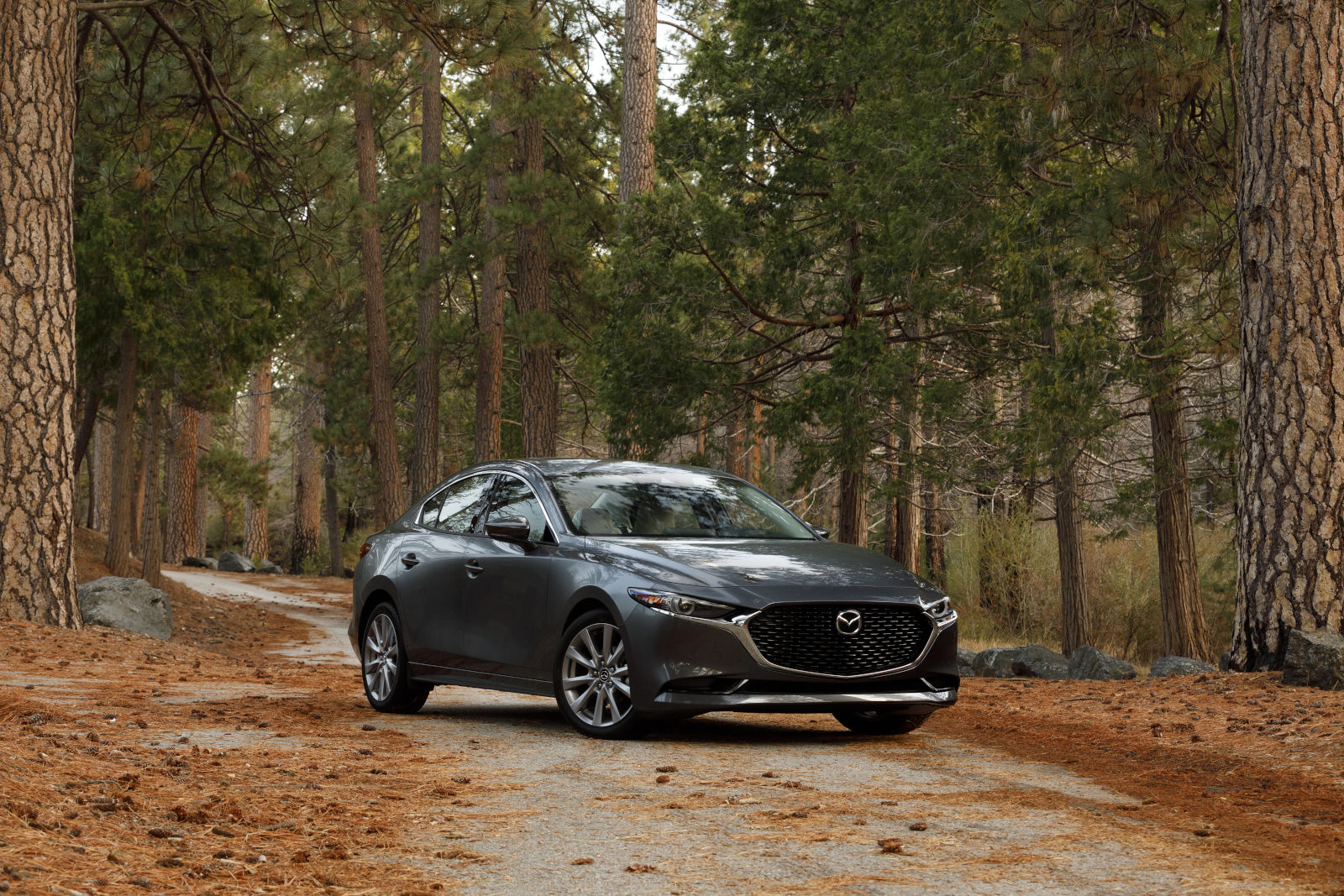 The Mazda3: More Than Just a Hatchback - Discover Its Unexpected Versatility