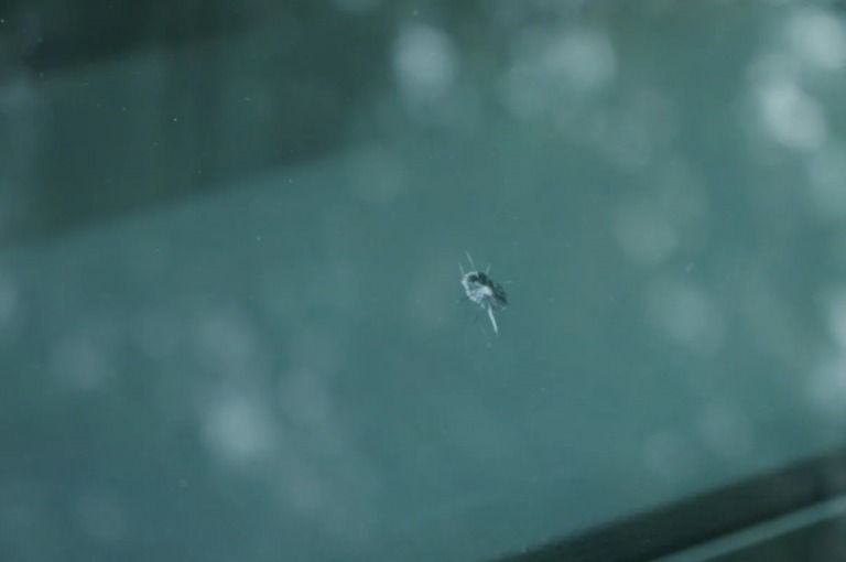 CHIPS AROUND YOUR WINDSHIELD'S EDGES?