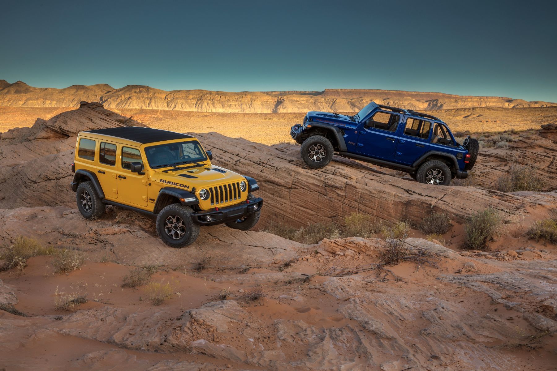 2021 Jeep Wrangler: The King of Off-Road