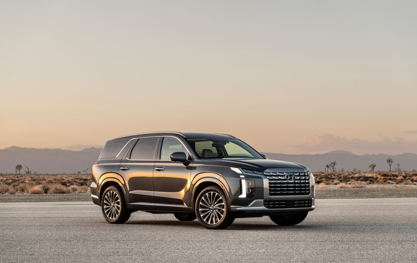 A Look at How the Hyundai Palisade Compares to Its Rivals: A Class-Leading SUV?