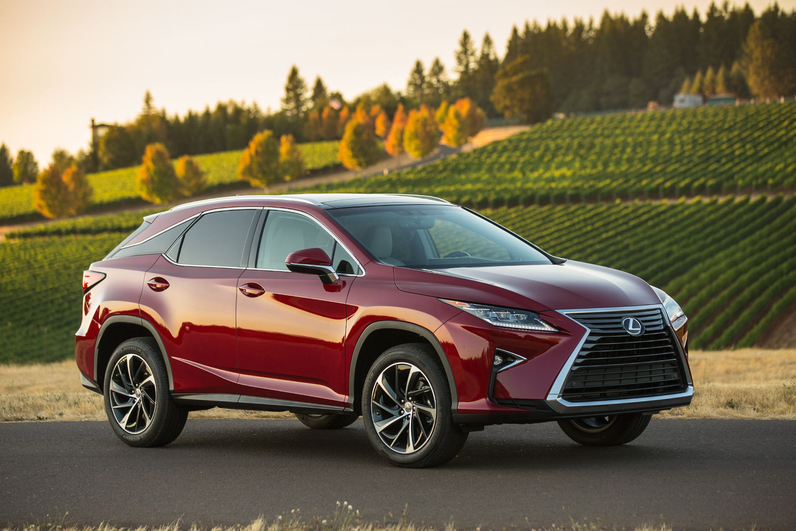Exploring the Sophistication of a Pre-Owned Lexus RX