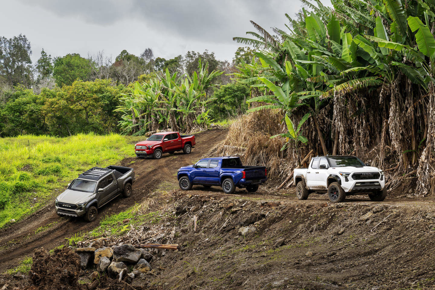 2024 Toyota Tacoma: Engineered for Epic Adventures and Everyday Comfort