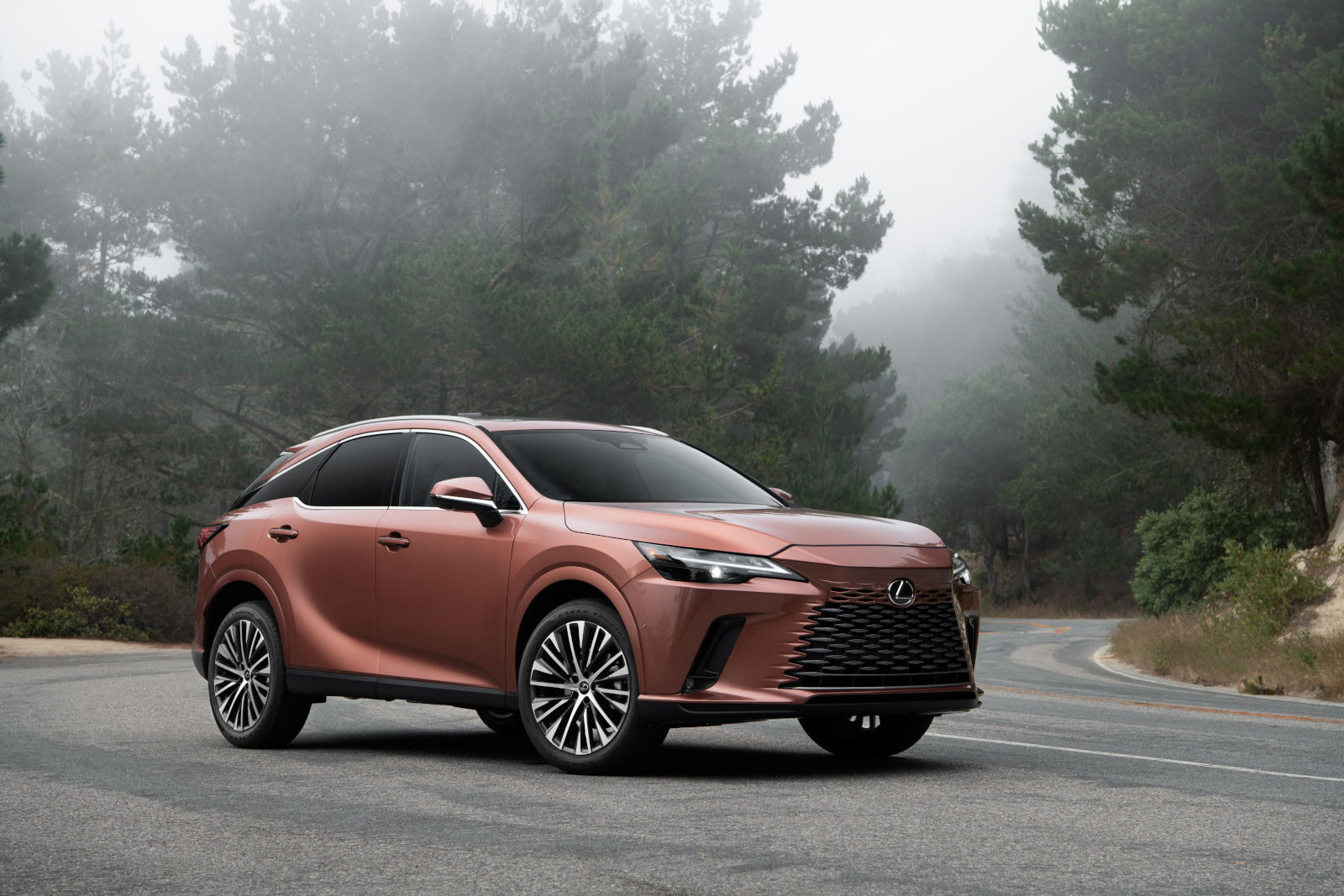 2024 Lexus RX: A Look at the Hybrid Powertrain Options