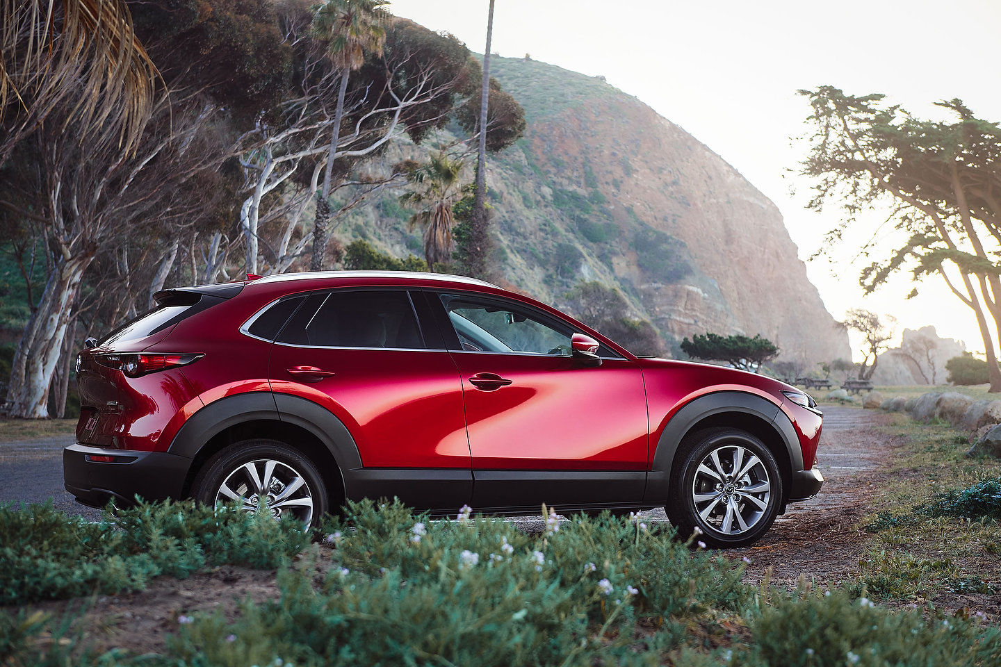 Signature Mazda In Richmond | 2020 Mazda CX-30 Vs 2021 Kia Seltos ...