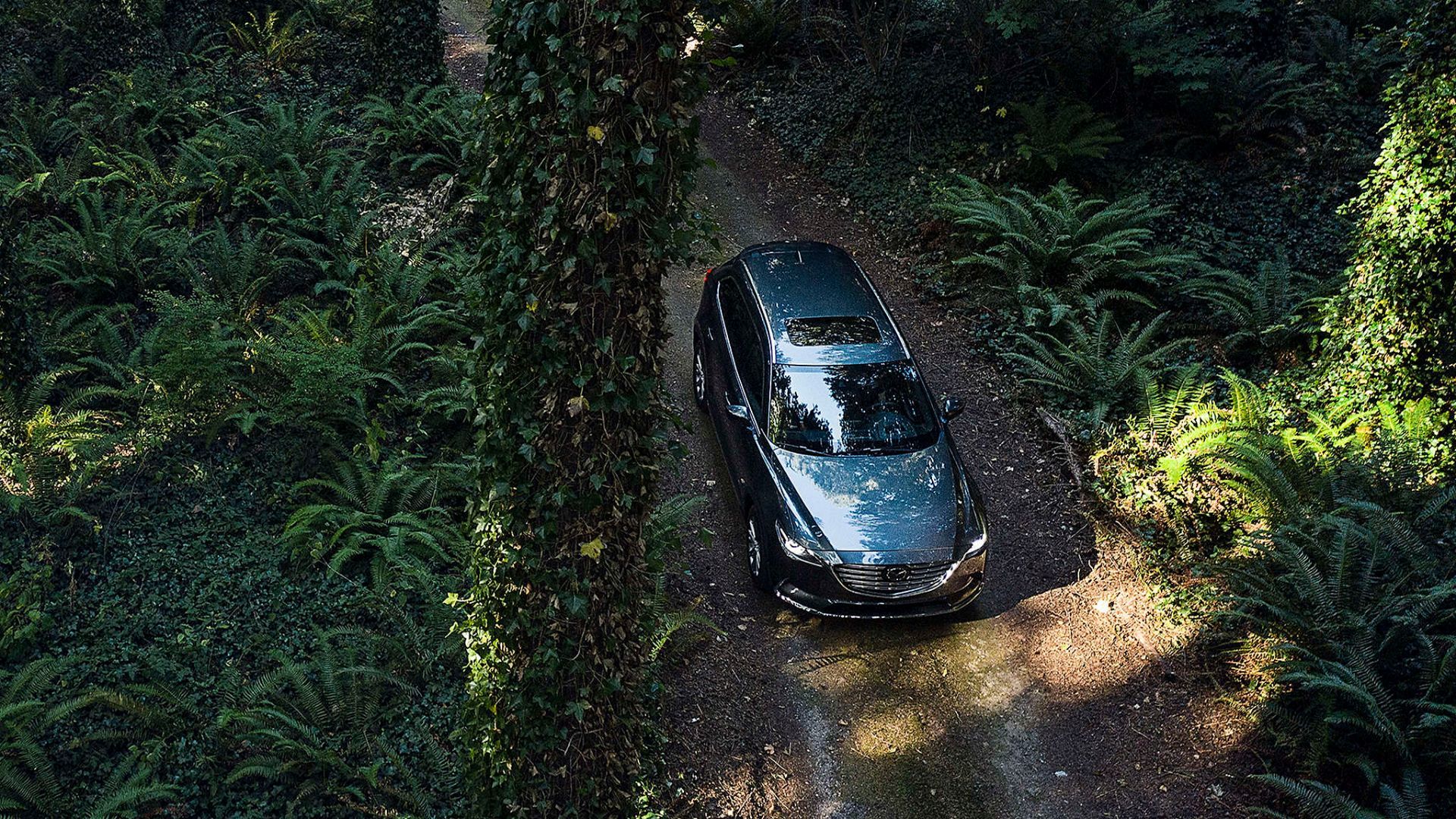 2021 Mazda CX-9 vs. 2021 Ford Explorer: Discover the Value