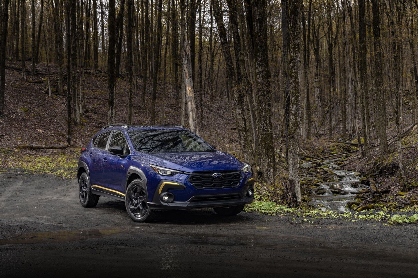 Subaru EyeSight: How This Technology Protects Your Family on Ontario's Busiest Roads