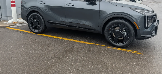 Ariela Earned Our Trust and Made Our First Kia Purchase Unforgettable