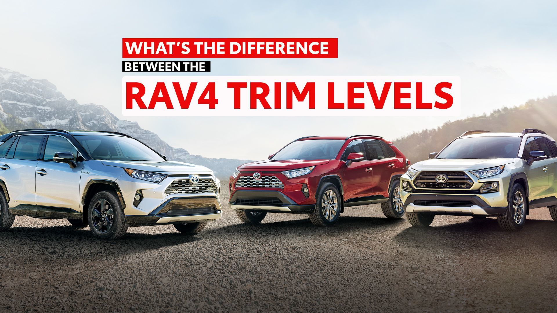 What's the Difference Between the RAV4 Trim Levels?