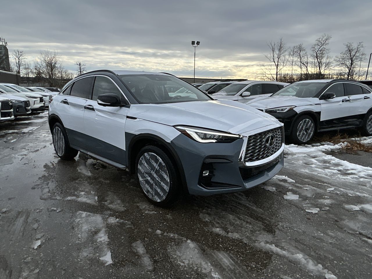 2025 Infiniti QX55 in Mississauga, Ontario