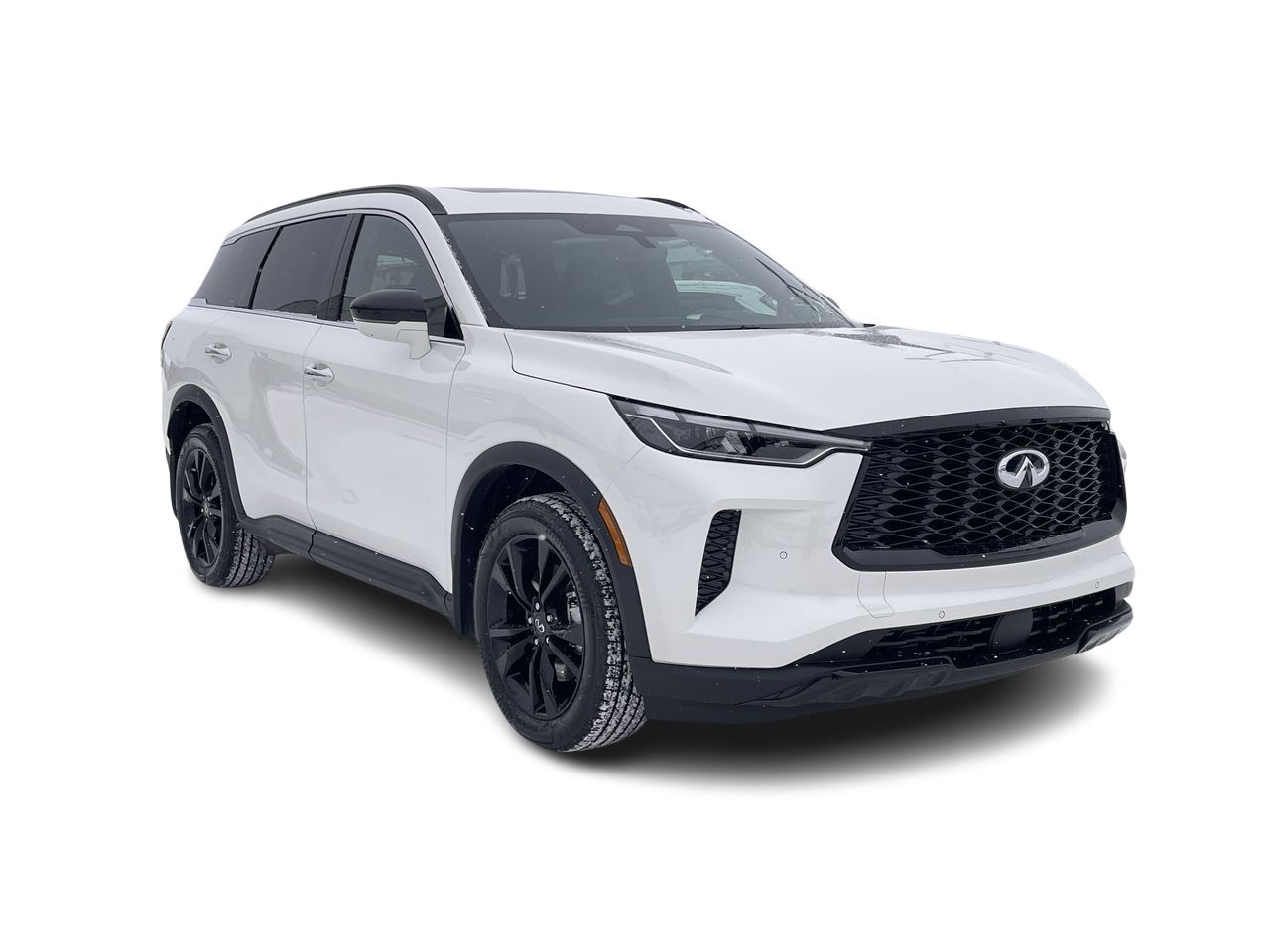 2025 Infiniti QX60 in Mississauga, Ontario