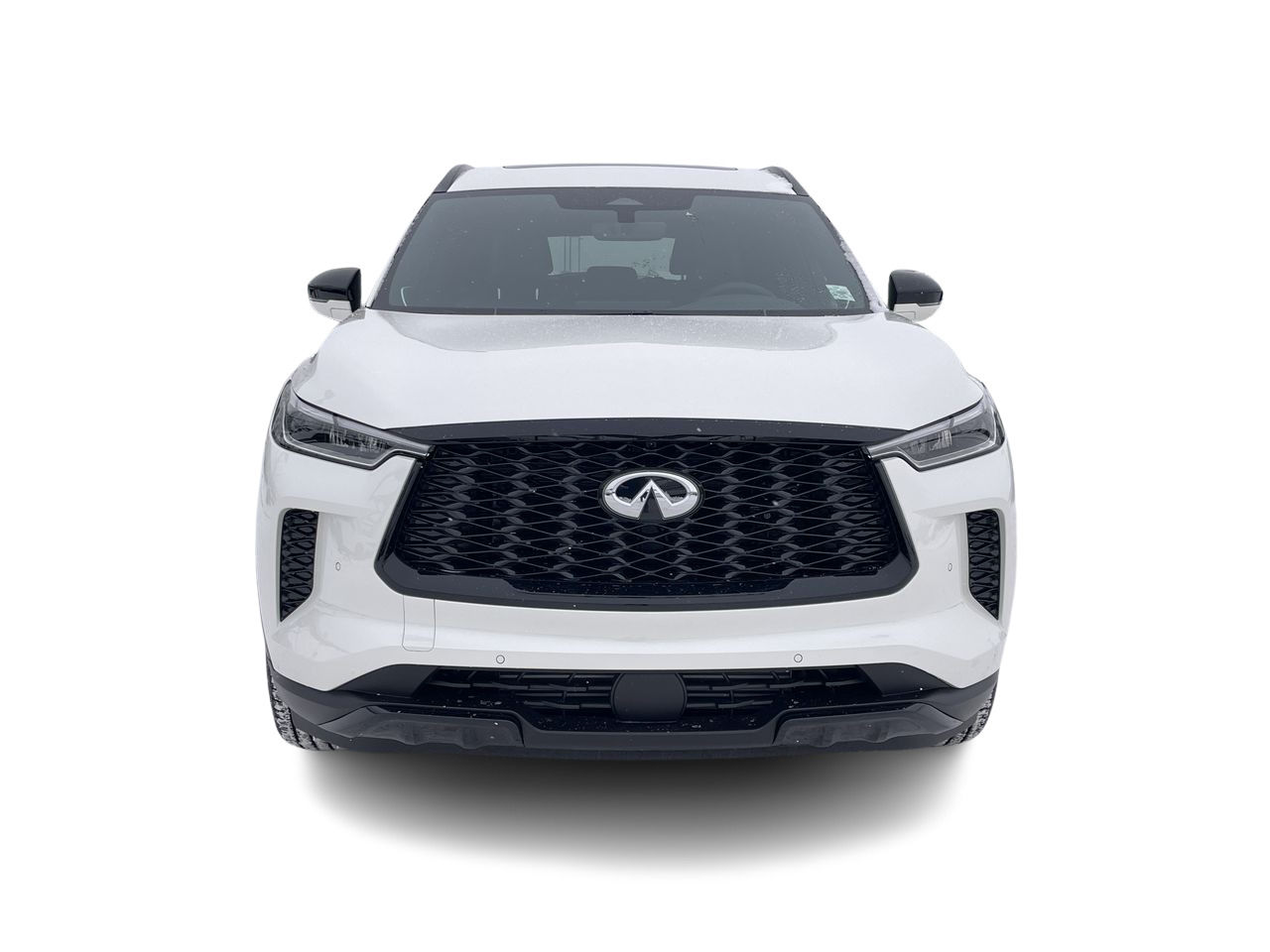 2025 Infiniti QX60 in Mississauga, Ontario