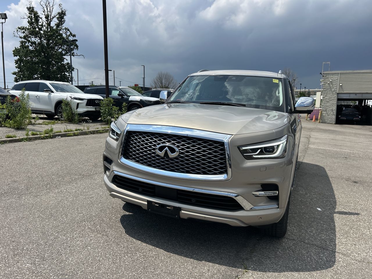 Infiniti QX80  2019 à Mississauga, Ontario