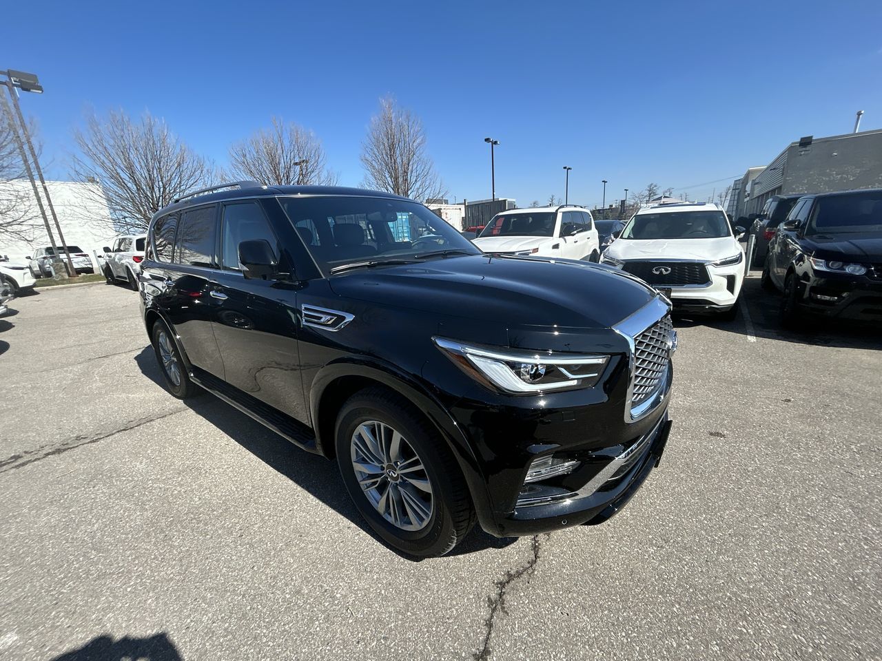 2024 Infiniti QX80