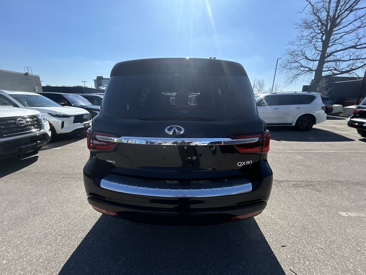 2024 Infiniti QX80