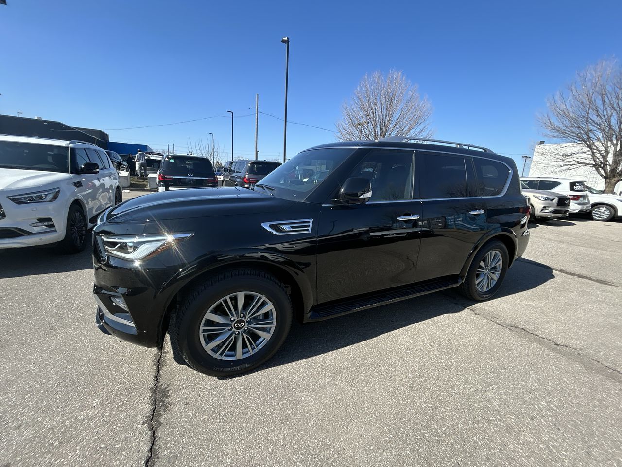 2024 Infiniti QX80