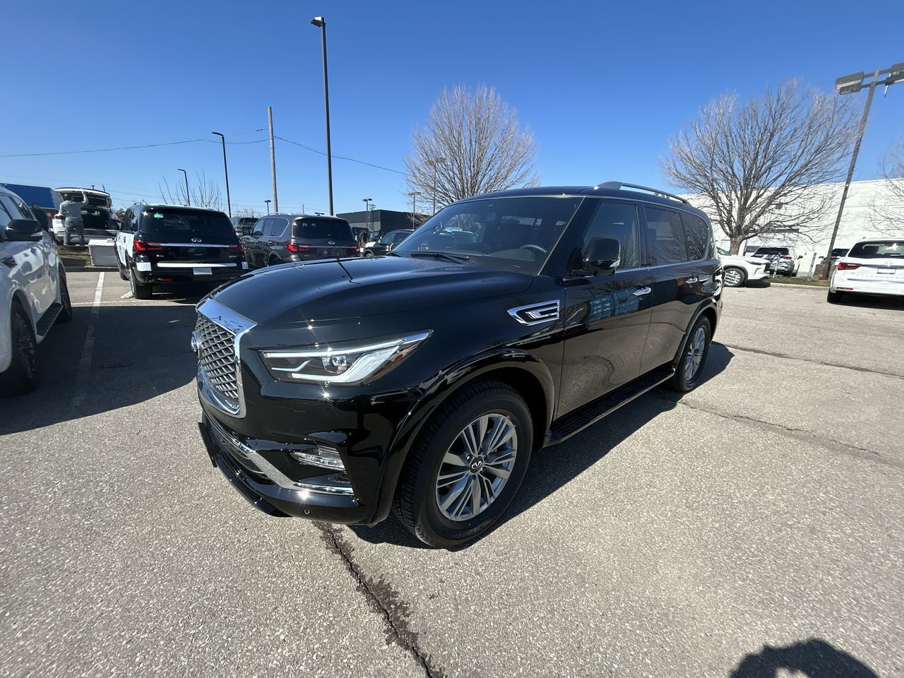 2024 Infiniti QX80