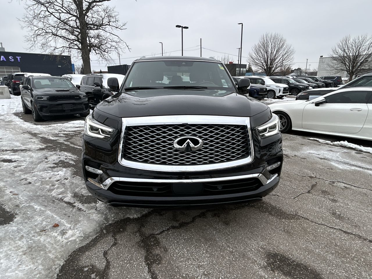 2024 Infiniti QX80 in Mississauga, Ontario