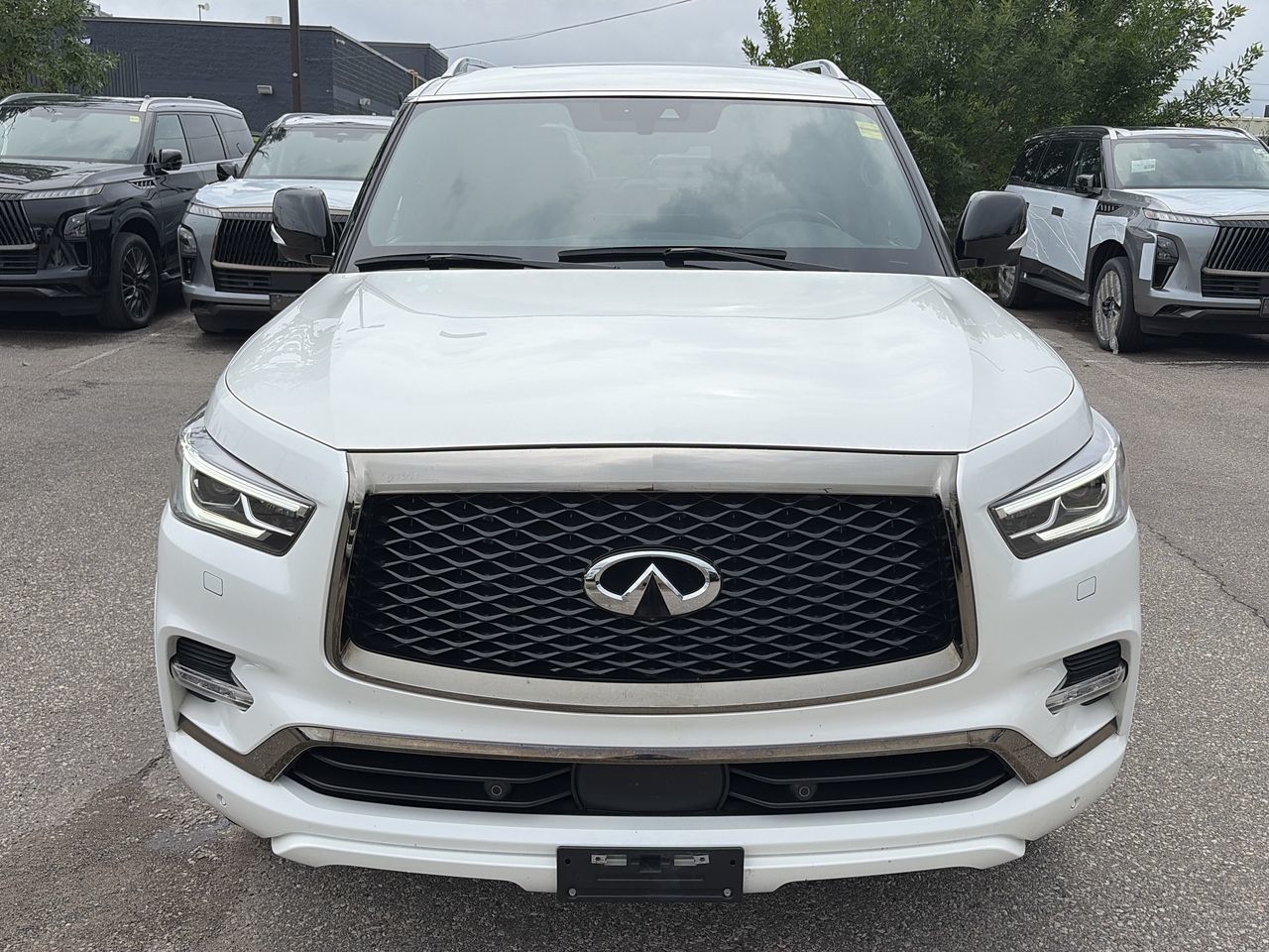 2024 Infiniti QX80 in Mississauga, Ontario