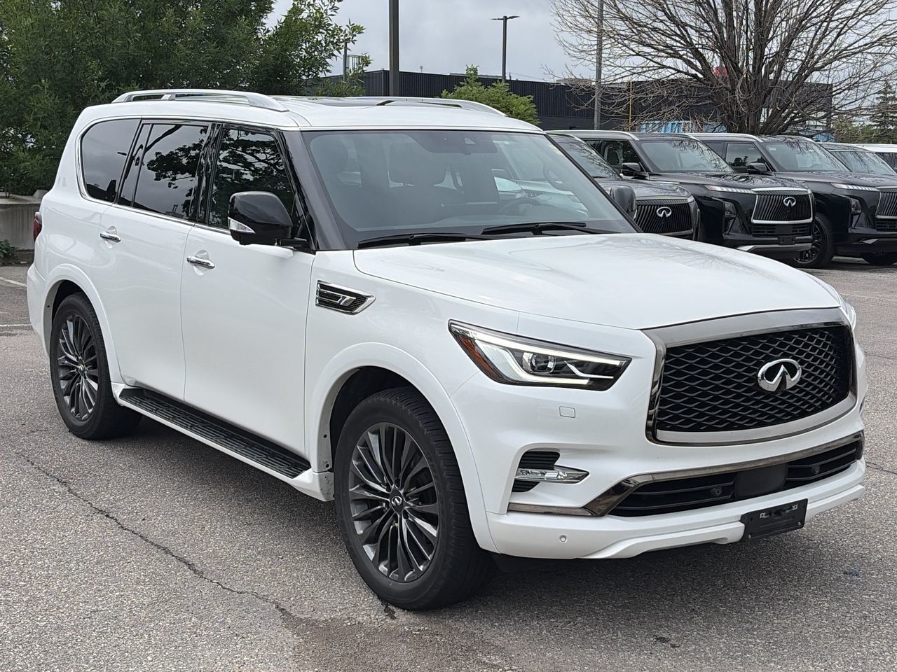 2024 Infiniti QX80 in Mississauga, Ontario