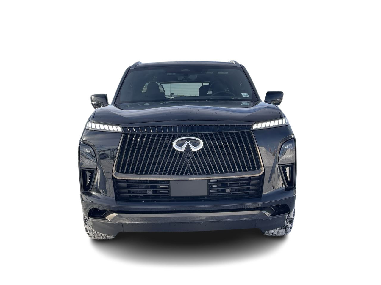 2025 Infiniti QX80 in Mississauga, Ontario