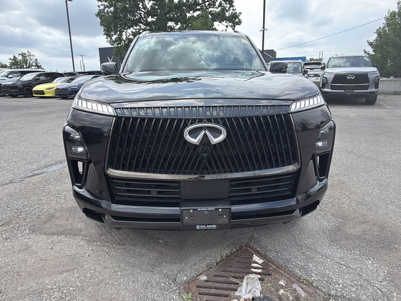 2025 Infiniti QX80 in Mississauga, Ontario