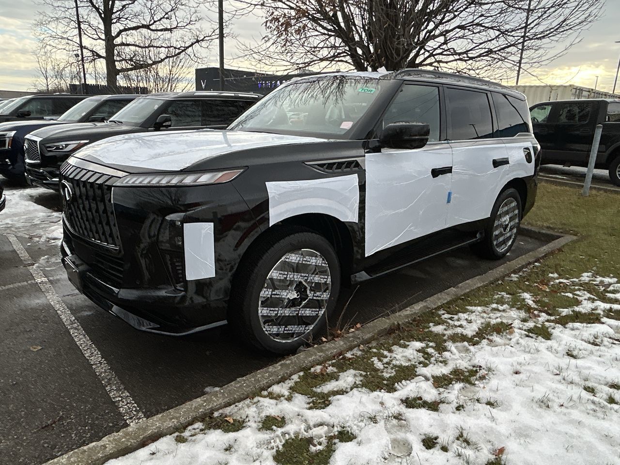 2026 Infiniti QX80 in Mississauga, Ontario