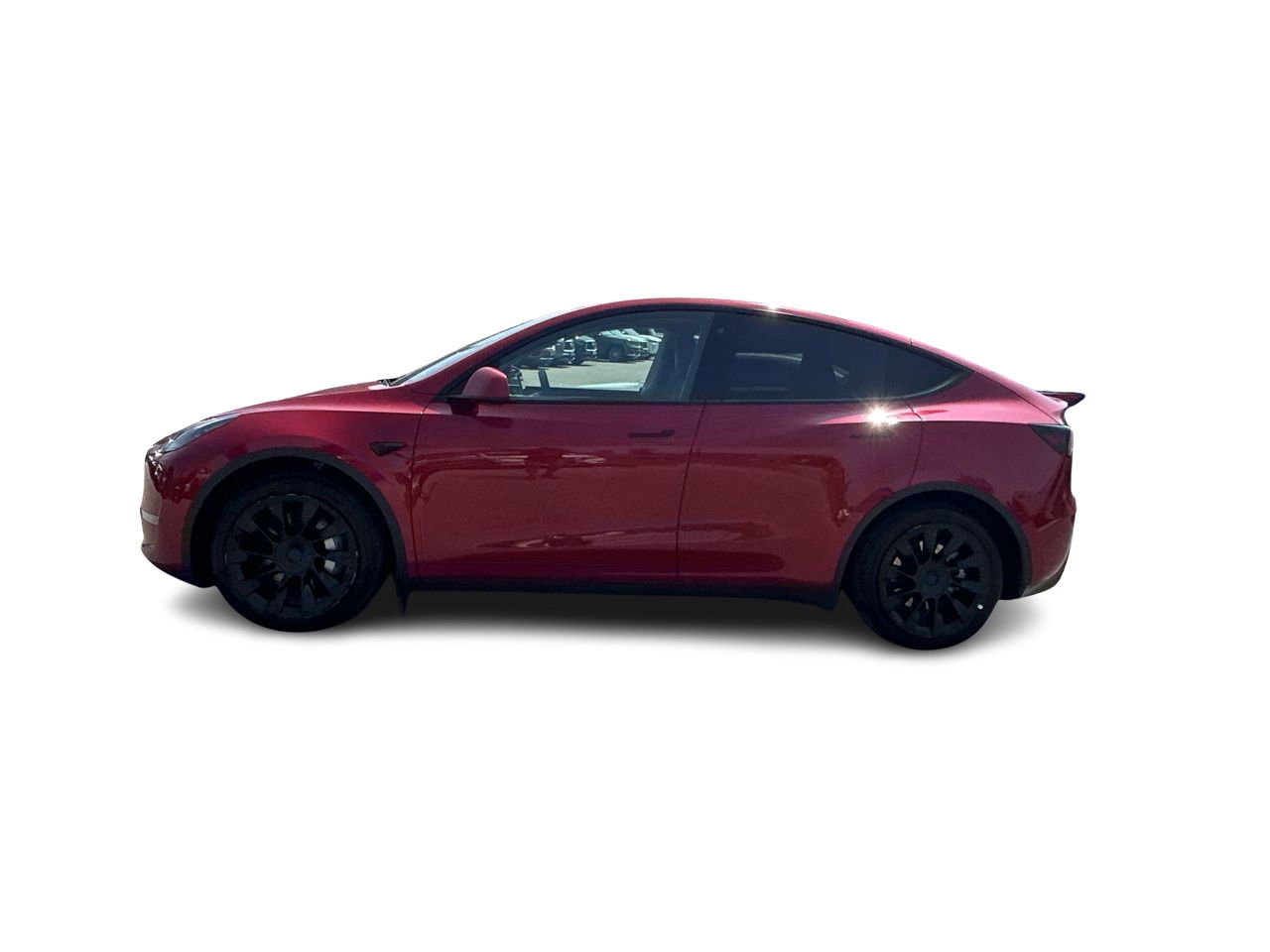 2023 Tesla Model Y in Mississauga, Ontario