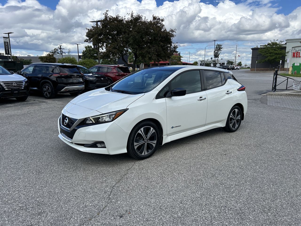 2019 Nissan Leaf in Mississauga, Ontario