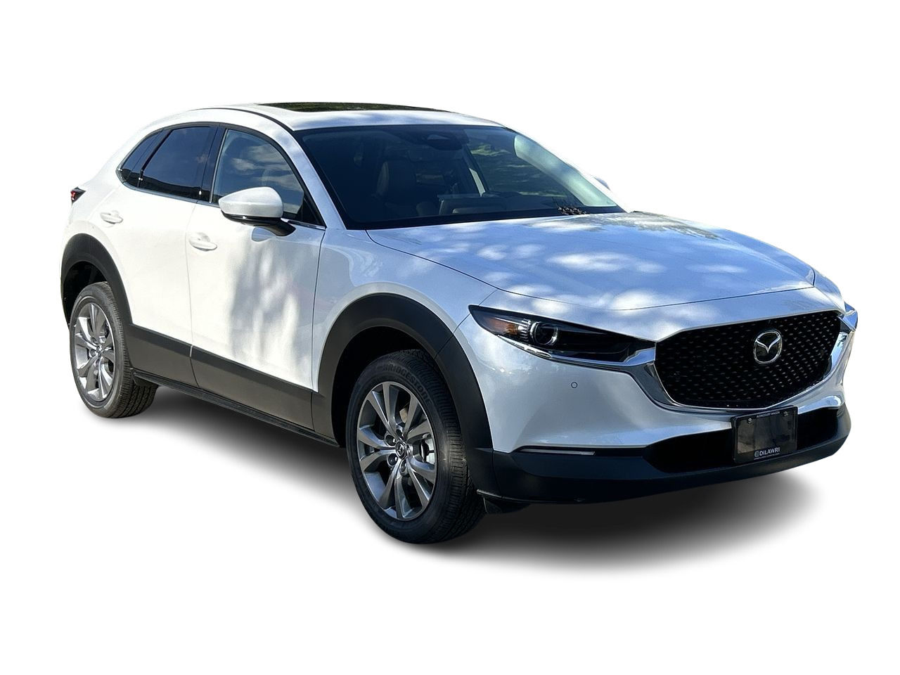 2025 Mazda CX-30 in Mississauga, Ontario