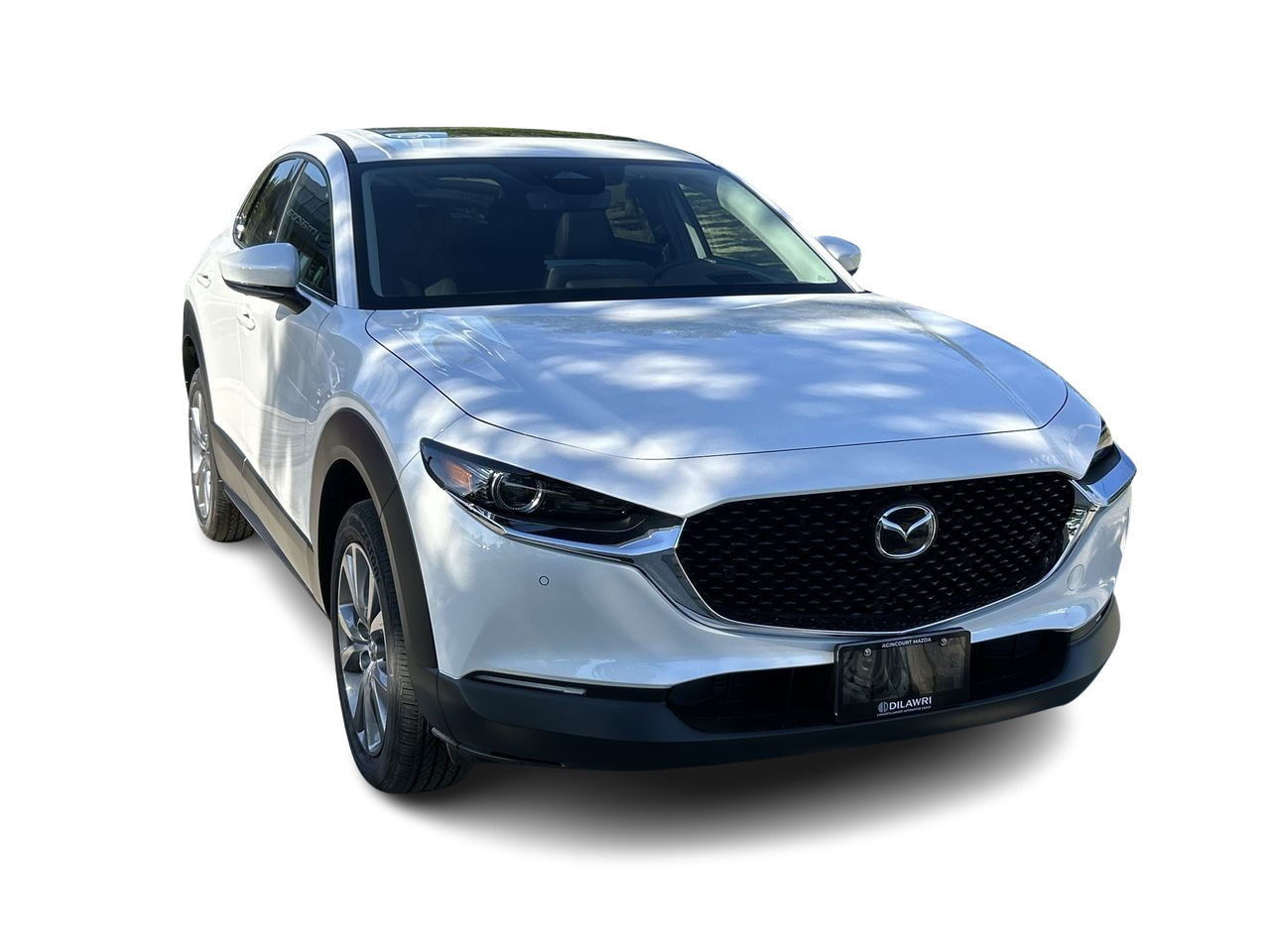 2025 Mazda CX-30 in Mississauga, Ontario