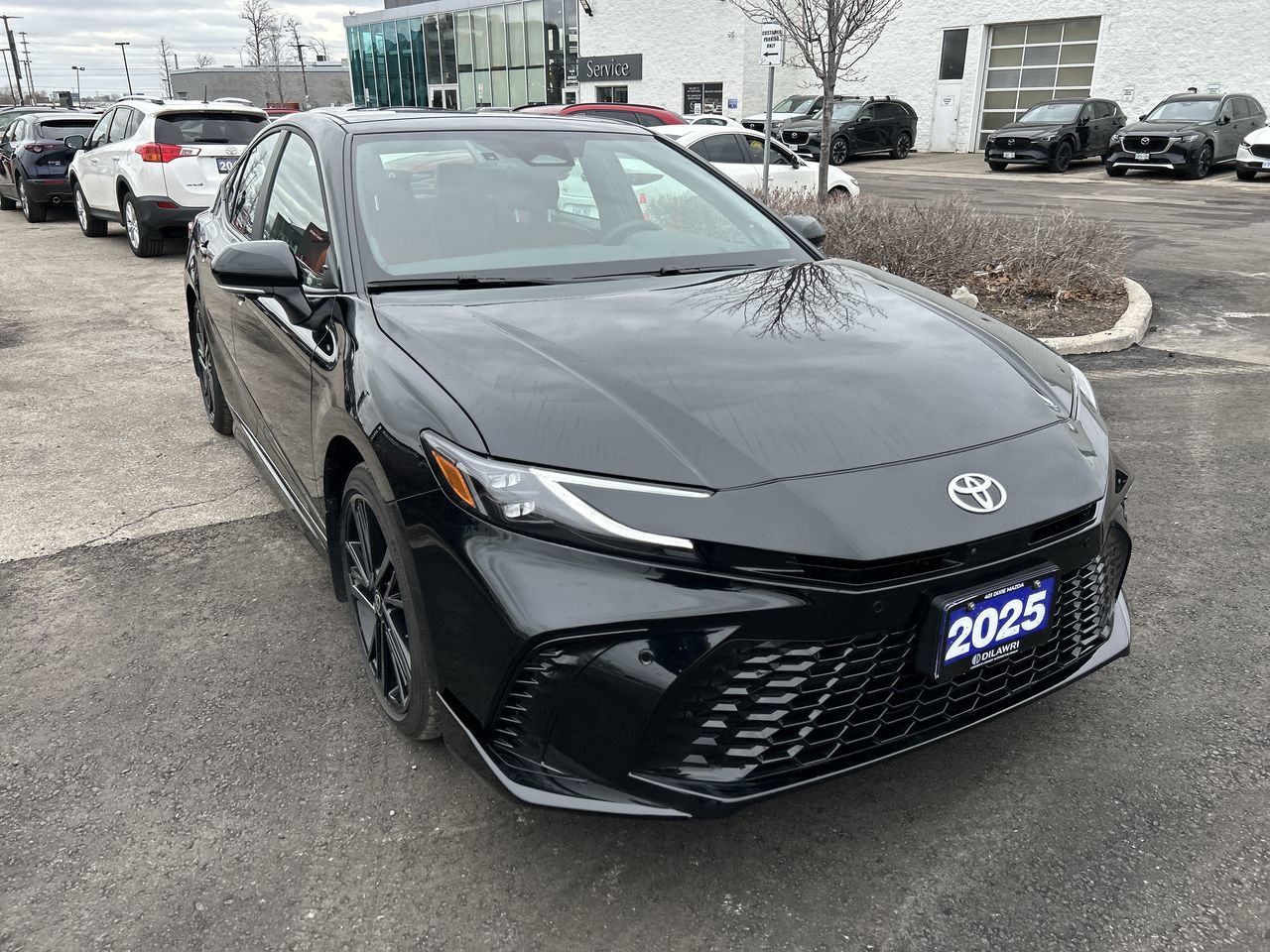 2025 Toyota Camry Hybrid