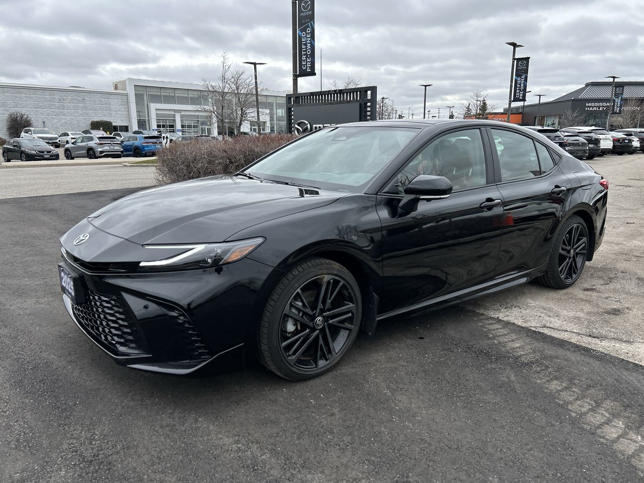 2025 Toyota Camry Hybrid
