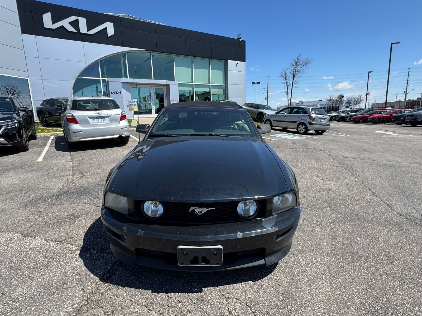 2008 Ford Mustang in Mississauga, Ontario